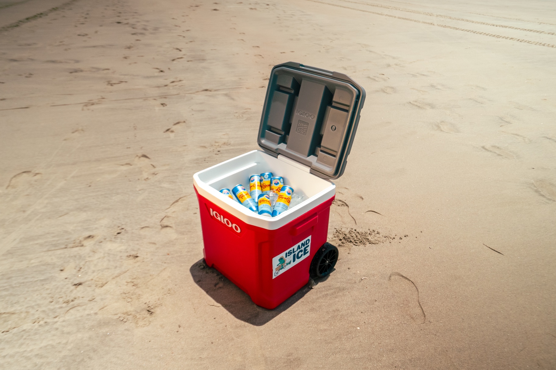 60qt family cooler rental with daily ice delivery on Sullivan's Island