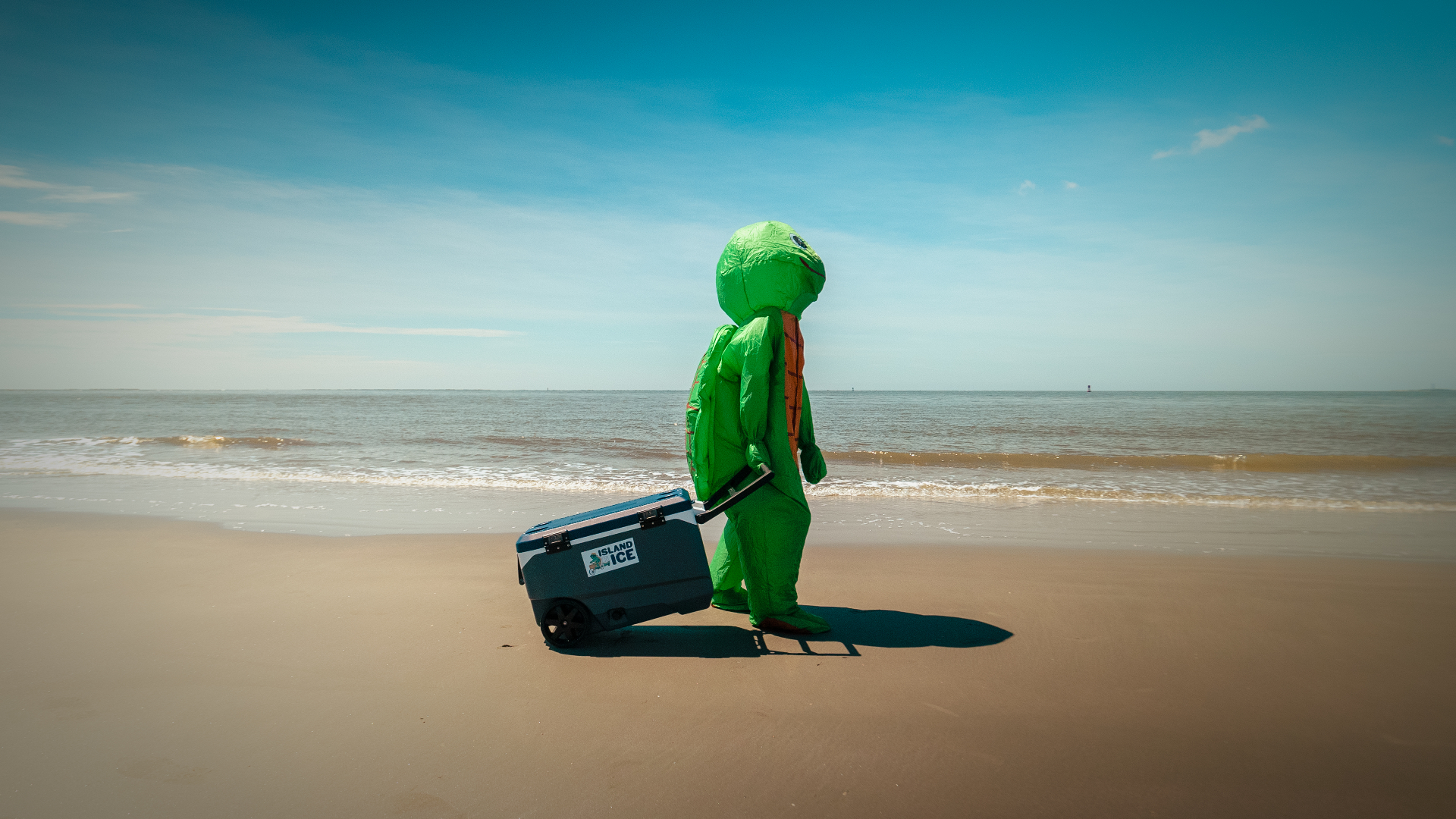 Todd the turtle pulling an Island Ice cooler across the beach