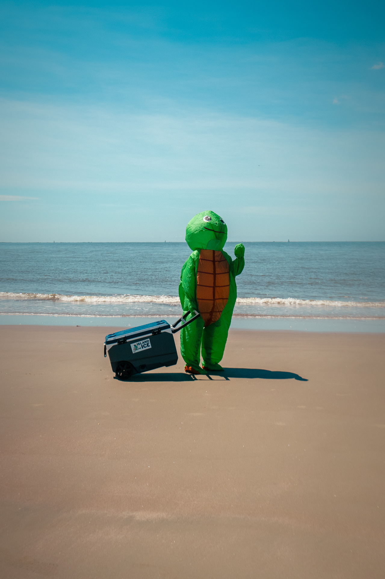 Todd, the Island Ice turtle mascot, standing on the beach with a wheeled cooler